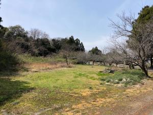 土地 水戸市大場町1986-1 鹿島臨海鉄道東水戸駅 4500000