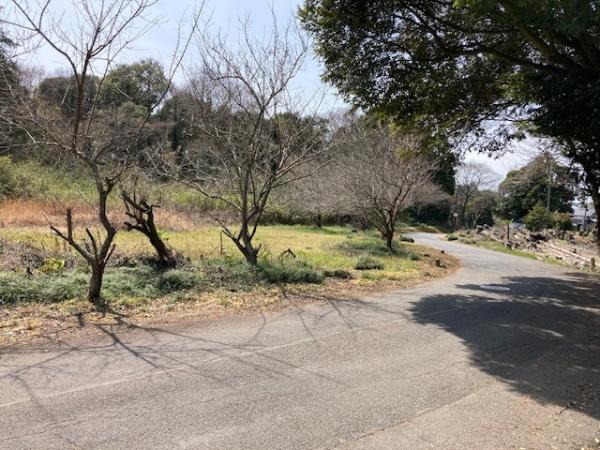 土地 水戸市大場町 鹿島臨海鉄道東水戸駅 450万円