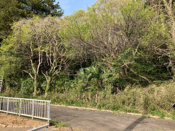 鉾田市徳宿　土地 前面道路含む現地写真 