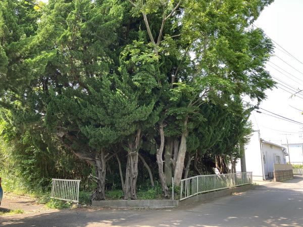 鉾田市二重作　土地 前面道路含む現地写真 