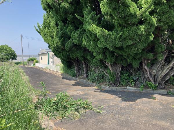 鉾田市二重作　土地 前面道路含む現地写真 