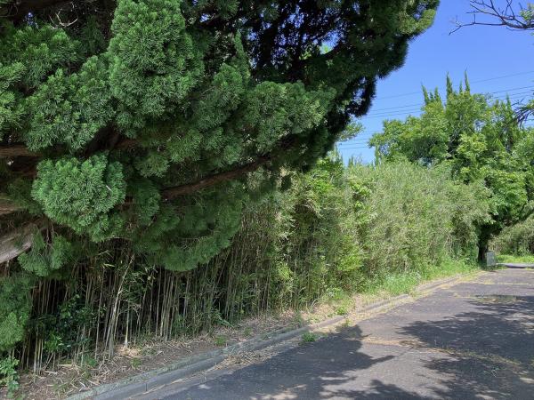 鉾田市二重作　土地 前面道路含む現地写真 