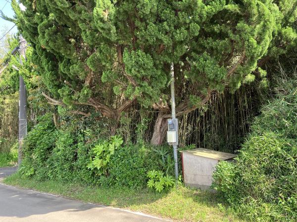 鉾田市二重作　土地 現地土地写真 