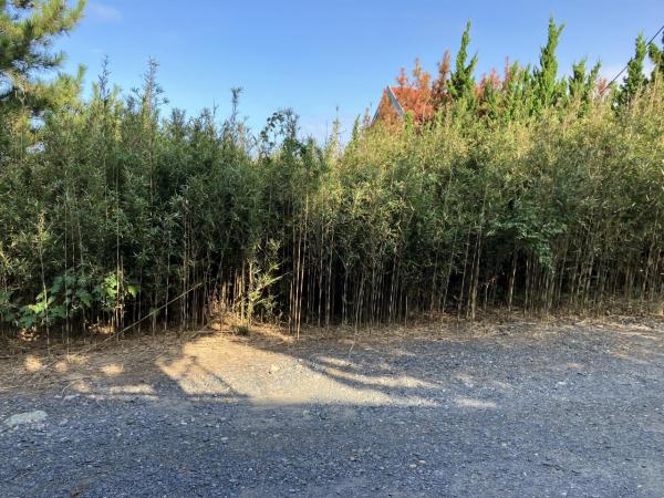 土地 鉾田市荒地 鹿島臨海鉄道鹿島旭駅 350万円