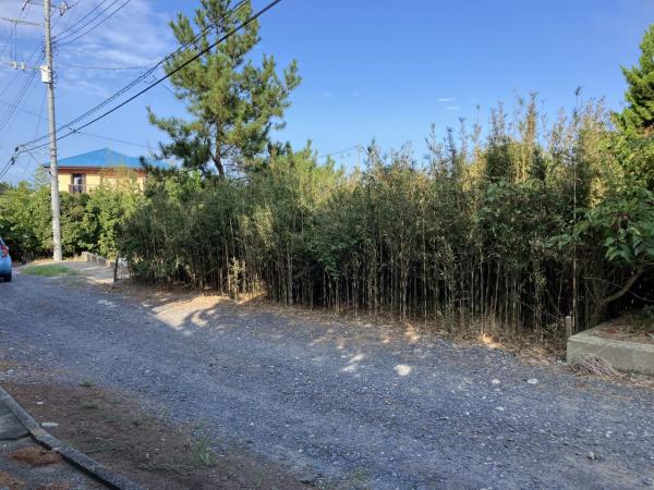 鉾田市荒地　土地 前面道路含む現地写真 