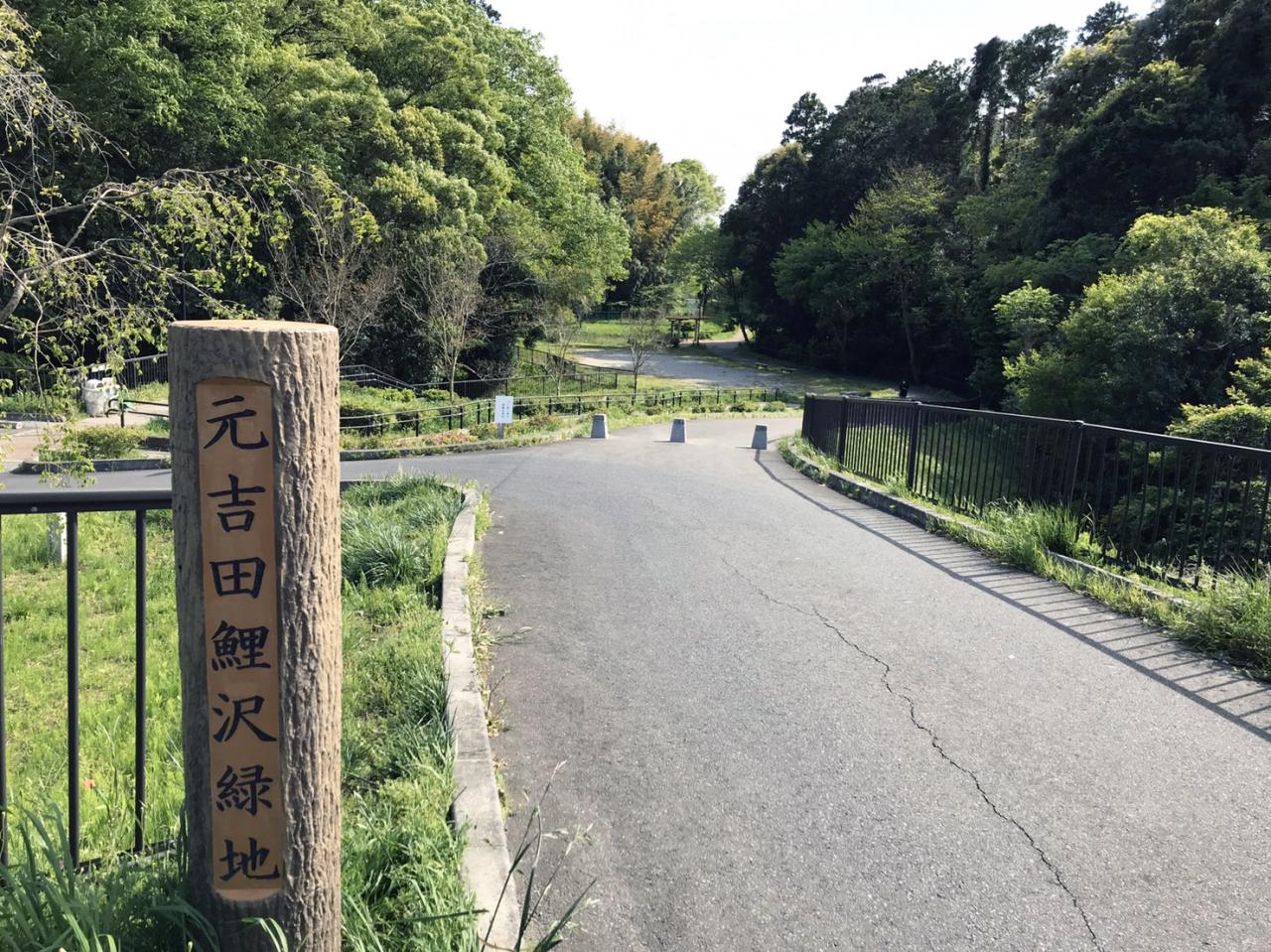 元吉田鯉沢緑地