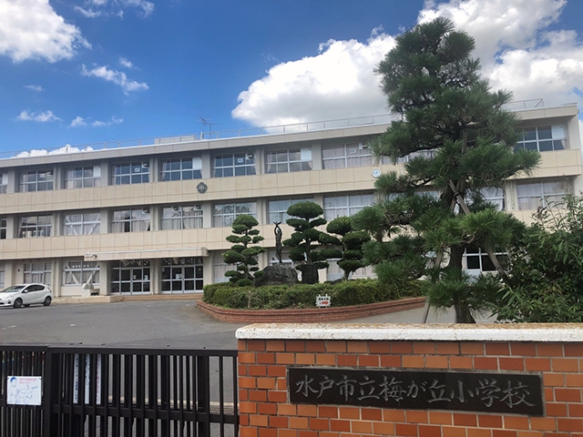 梅が丘小学校小学校