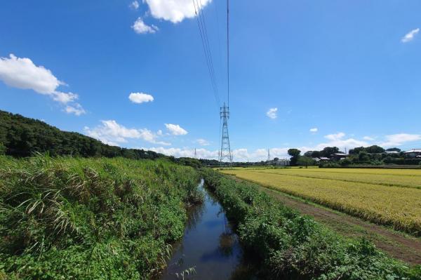 柏市高柳　土地 その他現地写真 