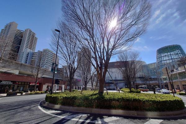 柏市正連寺　土地 その他