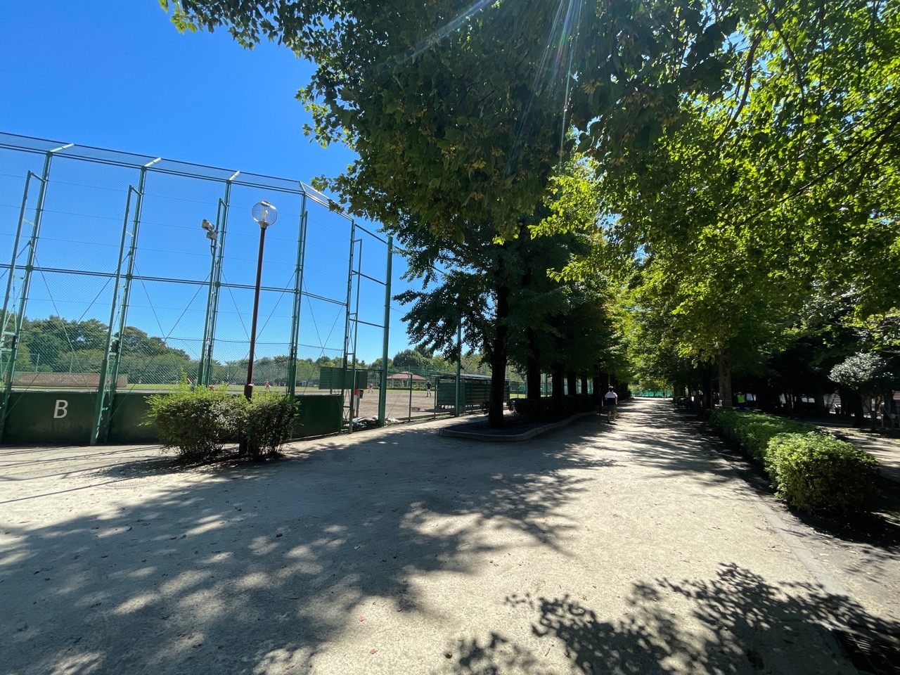 羽根木公園