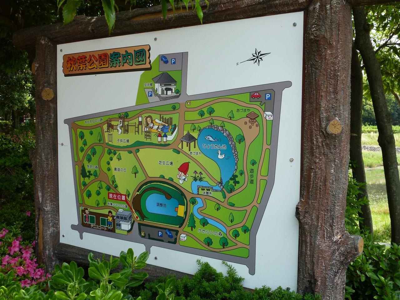 秋葉公園