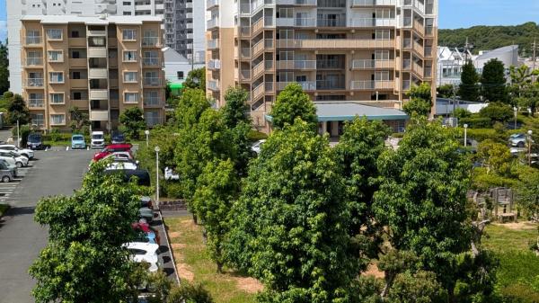 佐鳴湖パークタウン6号棟 住戸からの眺望写真 