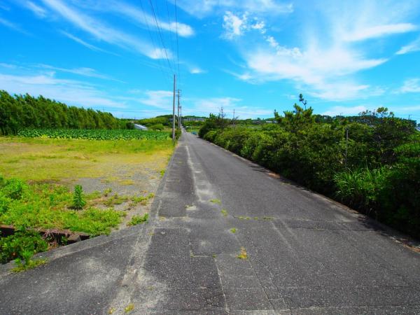 御前崎市白羽 前面道路含む現地写真 