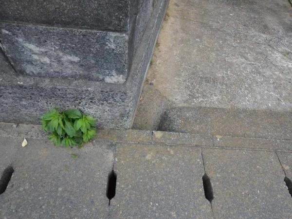 御前崎4351 その他現地写真 