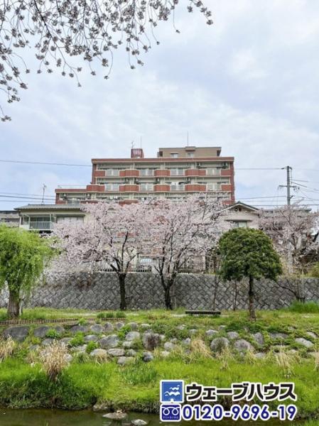 エメラルドマンション古京 現地外観写真 
