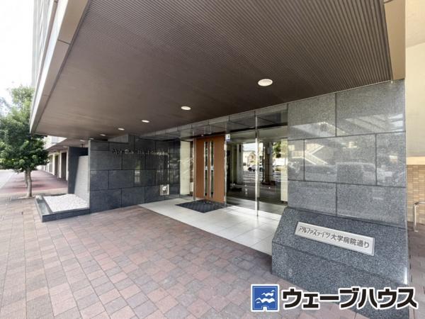 アルファステイツ大学病院通り エントランス 