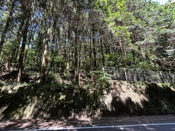 嬉野町大字岩屋川内　山林 現地土地写真 