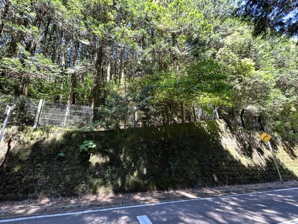 嬉野町大字岩屋川内　山林 現地土地写真 