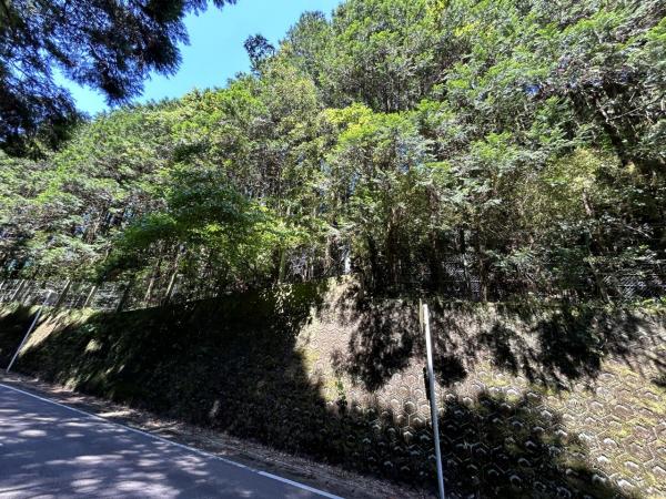 嬉野町大字岩屋川内　山林 現地土地写真 