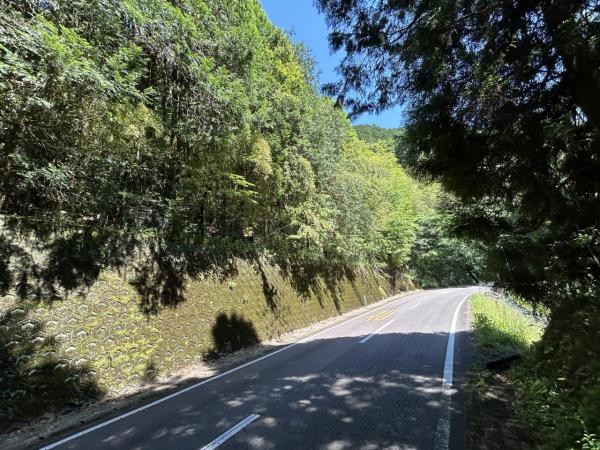 嬉野町大字岩屋川内　山林 前面道路含む現地写真 