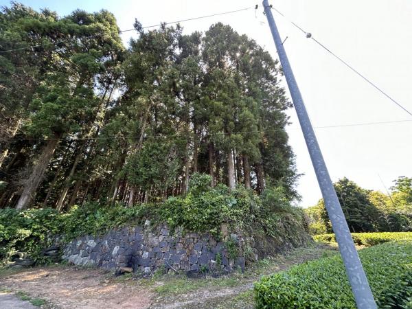 嬉野町大字岩屋川内　山林 現地土地写真 