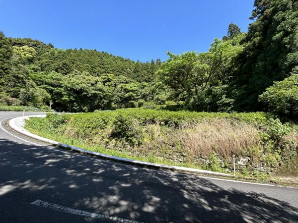 嬉野町大字岩屋川内　山林 現地土地写真 
