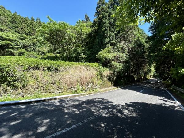 嬉野町大字岩屋川内　山林 前面道路含む現地写真 
