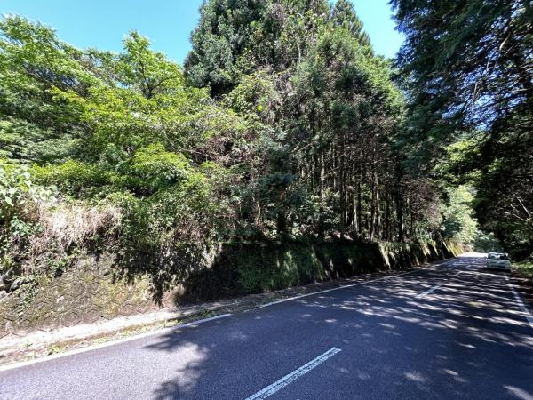 嬉野町大字岩屋川内　山林 前面道路含む現地写真 