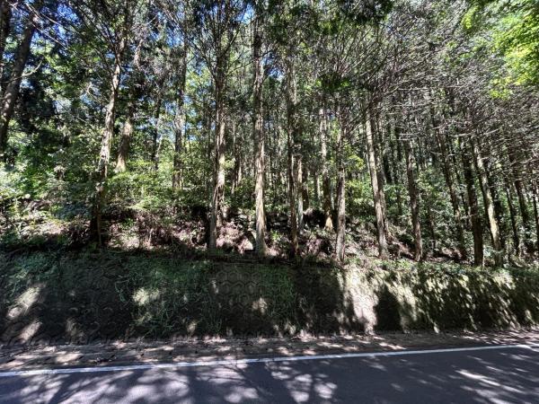 嬉野町大字岩屋川内　山林 現地土地写真 