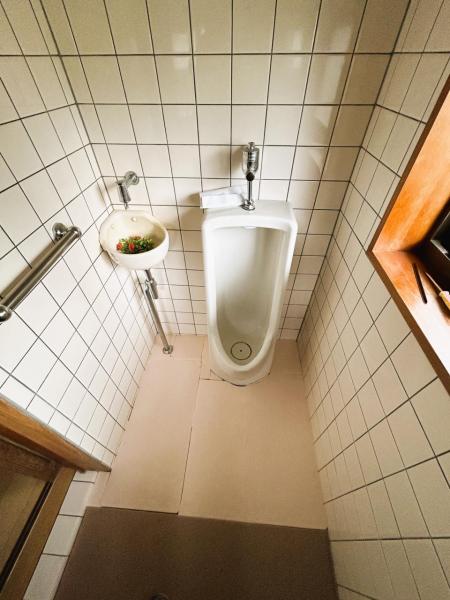 嬉野町大字吉田　戸建 トイレ 