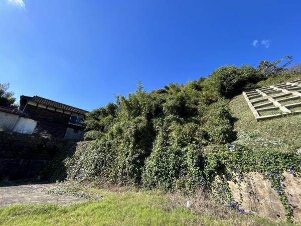 小城町畑田　土地（山林付き） 現地土地写真 