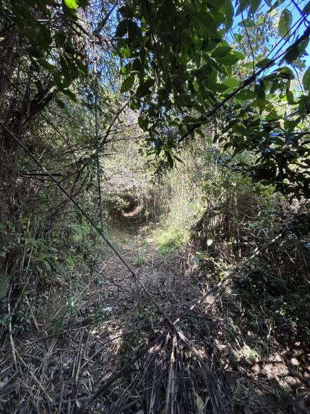 小城町畑田　土地（山林付き） その他現地写真 