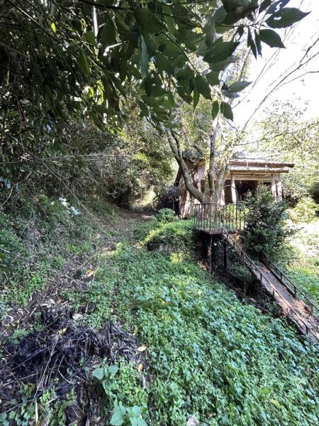 小城町畑田　土地（山林付き） その他現地写真 