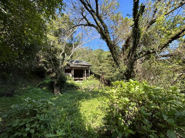 小城町畑田　土地（山林付き） その他現地写真 