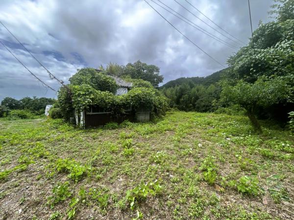神埼町的　土地 現地土地写真 