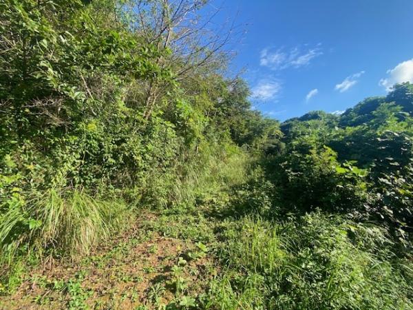 土地 福岡市西区大字下山門1718-66 JR筑肥線下山門駅 235万円