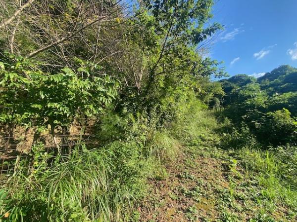 大字下山門　土地 現地土地写真 