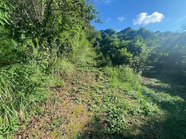 大字下山門　土地 現地土地写真 