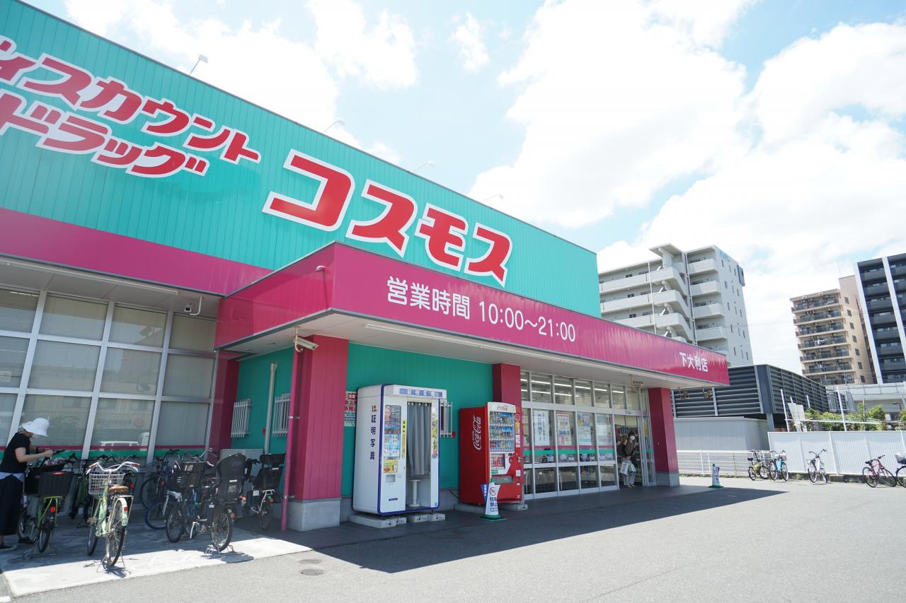 コスモス