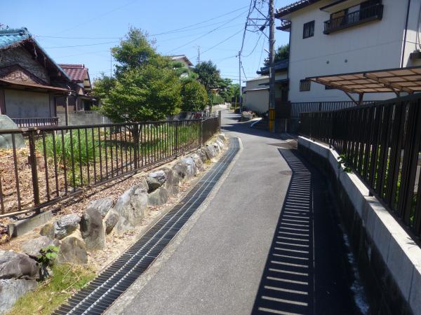 半田 前面道路含む現地写真 