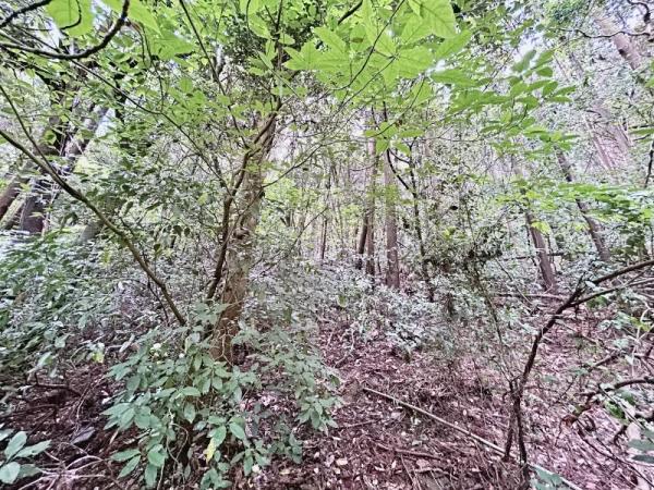 遠賀郡岡垣町大字原　土地 現地土地写真 