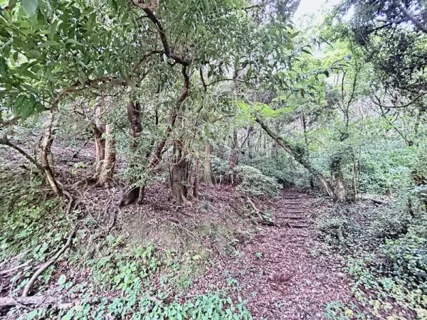 遠賀郡岡垣町大字原　土地 現地土地写真 