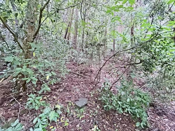 遠賀郡岡垣町大字原　土地 現地土地写真 