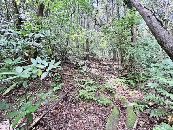 遠賀郡岡垣町大字原　土地 現地土地写真 