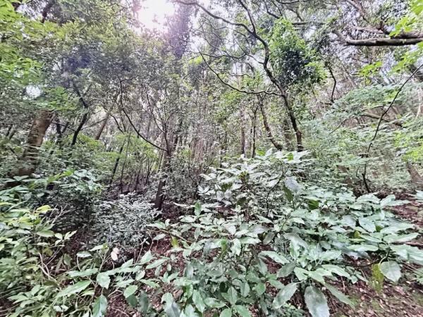 遠賀郡岡垣町大字原　土地 現地土地写真 