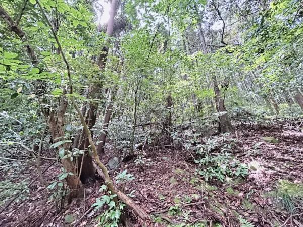 遠賀郡岡垣町大字原　土地 現地土地写真 