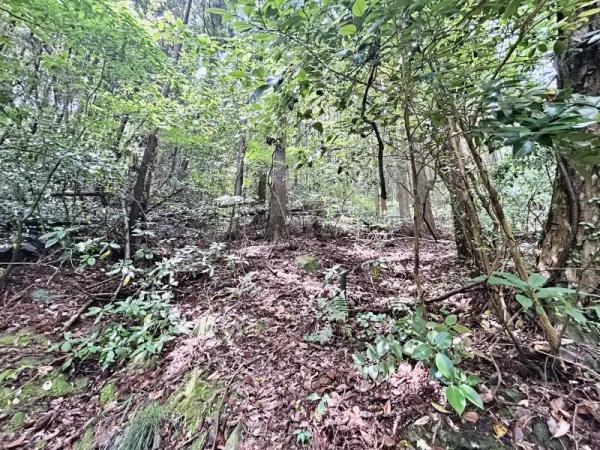 遠賀郡岡垣町大字原　土地 現地土地写真 