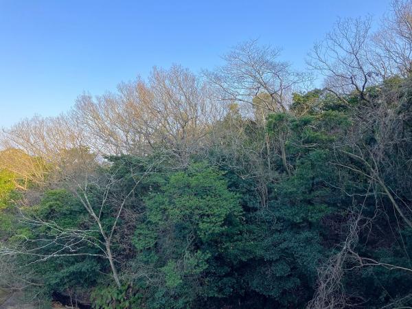 南片江５丁目中古戸建（築８年・デザイナーズ住宅） 住戸からの眺望写真 