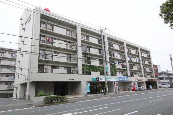 中古マンション 福岡市南区向野１丁目19-27 西鉄天神大牟田線高宮駅 2,250万円