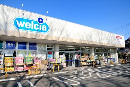 ウエルシア清瀬中里店 (調剤薬局)